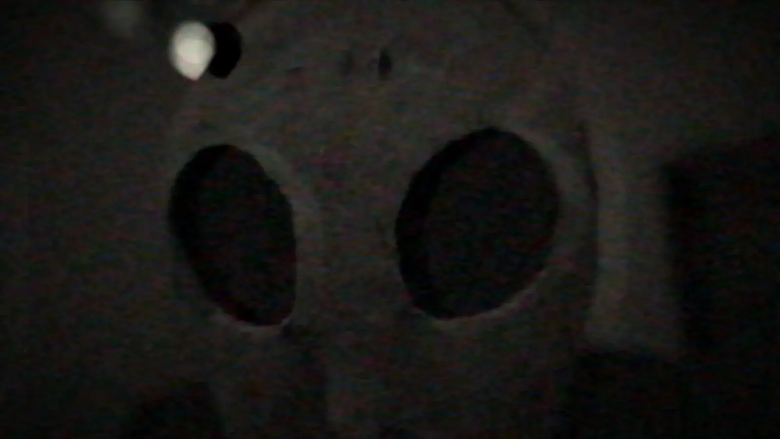 Horrizaphenics still